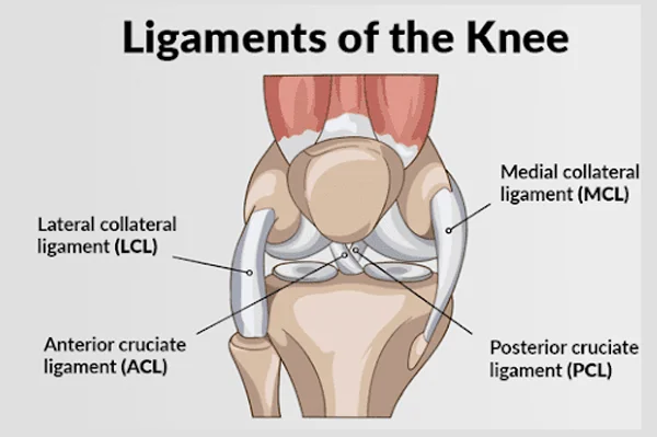 Ligament Surgery